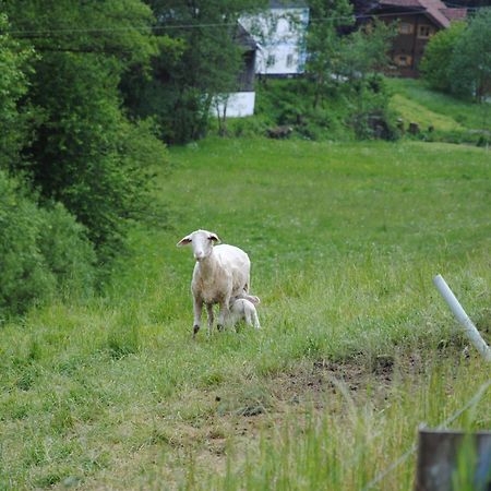Landgasthof Seyrlberg Reichenau im Mühlkreis 外观 照片