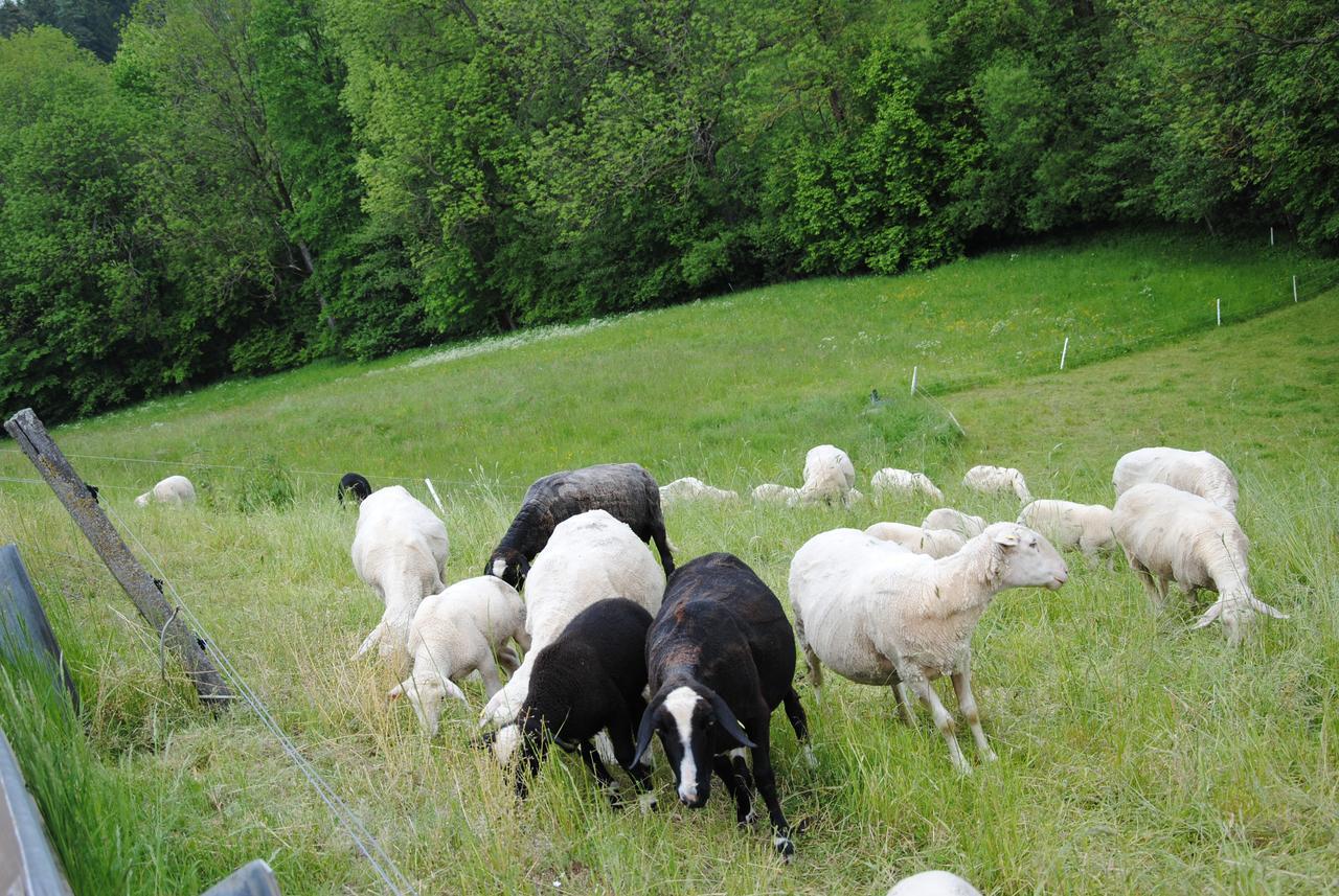 Landgasthof Seyrlberg Reichenau im Mühlkreis 外观 照片
